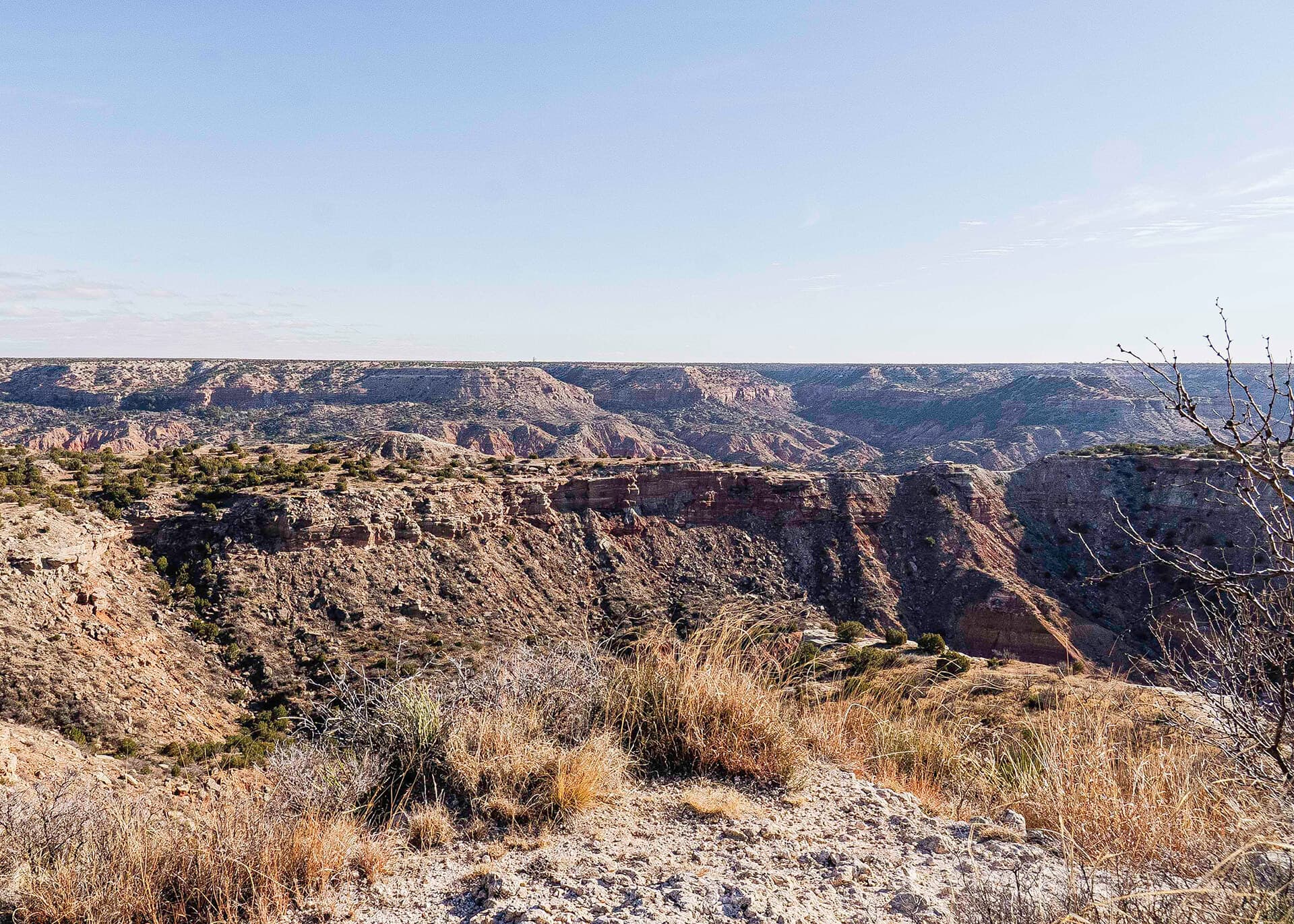 Canyon - Latest News